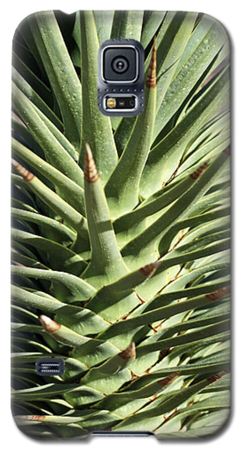  Galaxy S5 Case featuring the photograph Cactus 2 by Cheryl Boyer