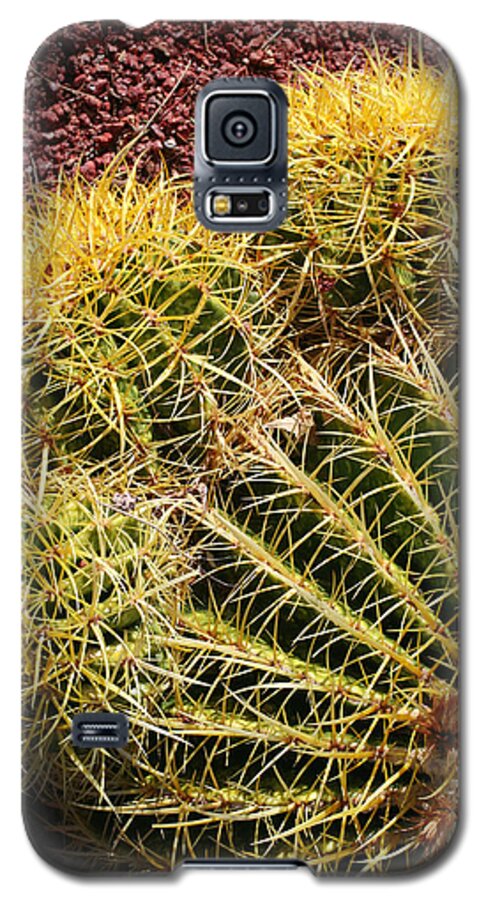  Galaxy S5 Case featuring the photograph Cactus 9 by Cheryl Boyer