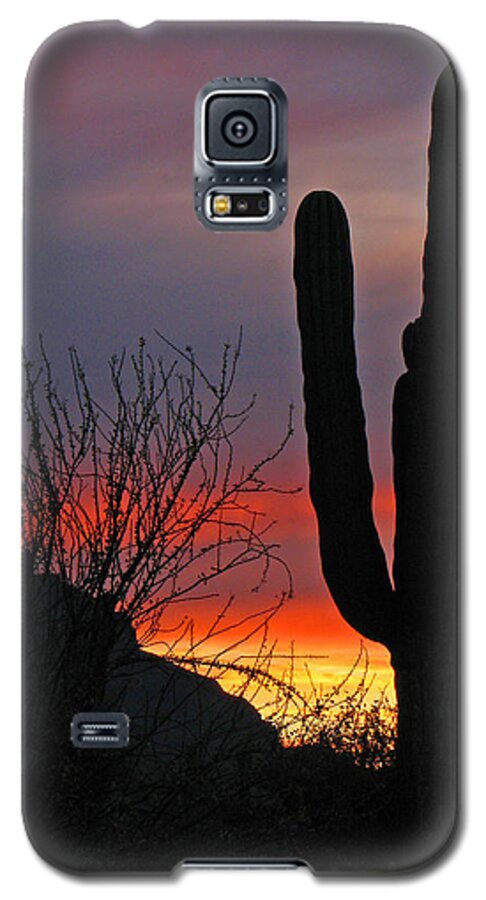 Cactus Galaxy S5 Case featuring the photograph Cactus at Sunset by Marcia Socolik
