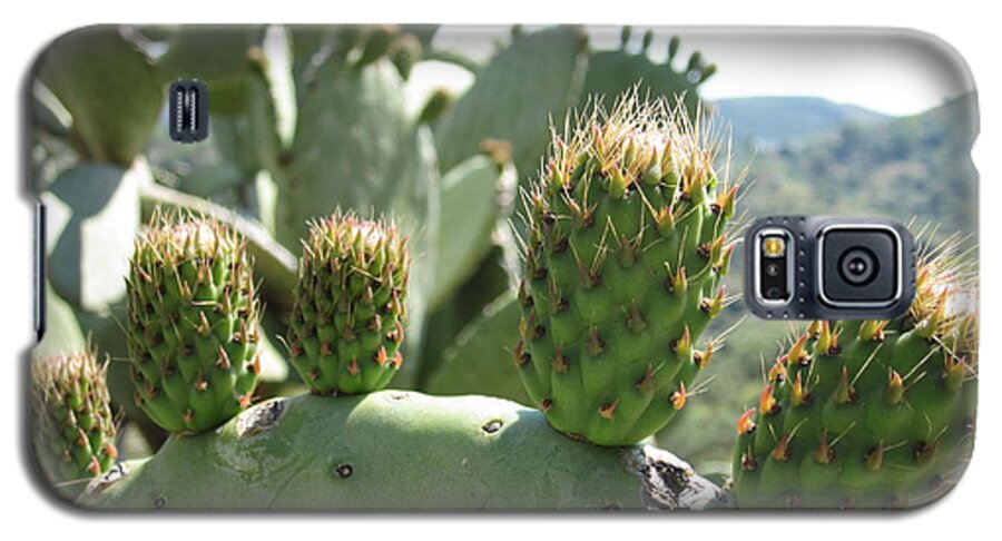 Cactus Galaxy S5 Case featuring the photograph Cactus by Chani Demuijlder