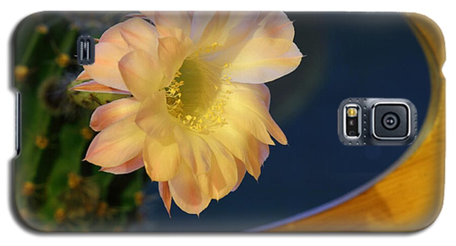 Cactus Galaxy S5 Case featuring the photograph Cactus Flower by Pekka Sammallahti