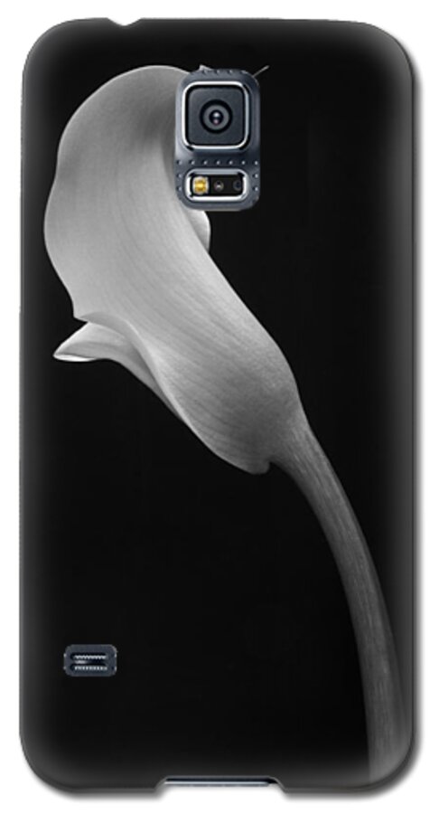 Cala Lilly Galaxy S5 Case featuring the photograph Cala Lilly 1 by Ron White