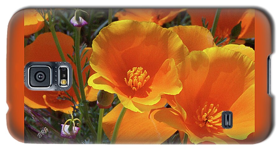 California Poppy Galaxy S5 Case featuring the photograph California Poppies by Ben and Raisa Gertsberg