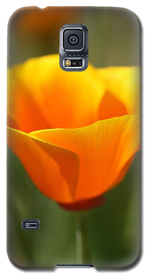 Orange King Poppy Galaxy S5 Case featuring the photograph Californian Poppy by Joy Watson