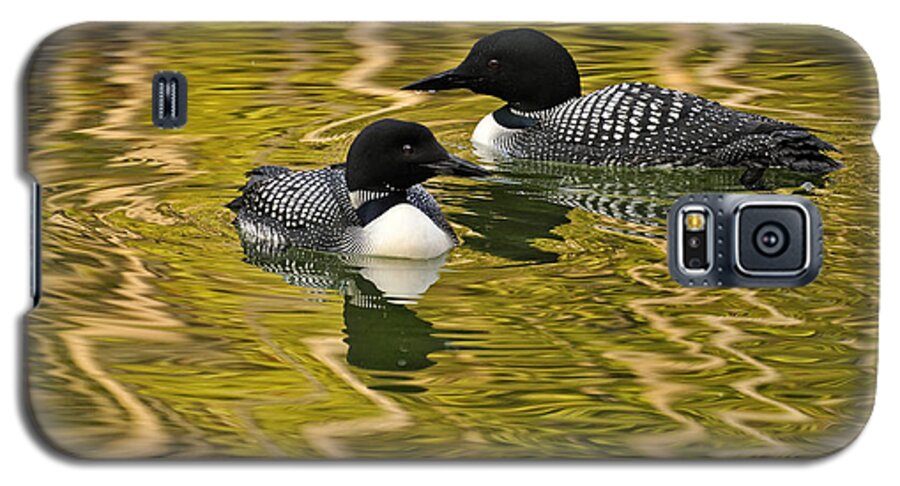 Alberta Galaxy S5 Case featuring the photograph Canadian Birds by Don Johnston