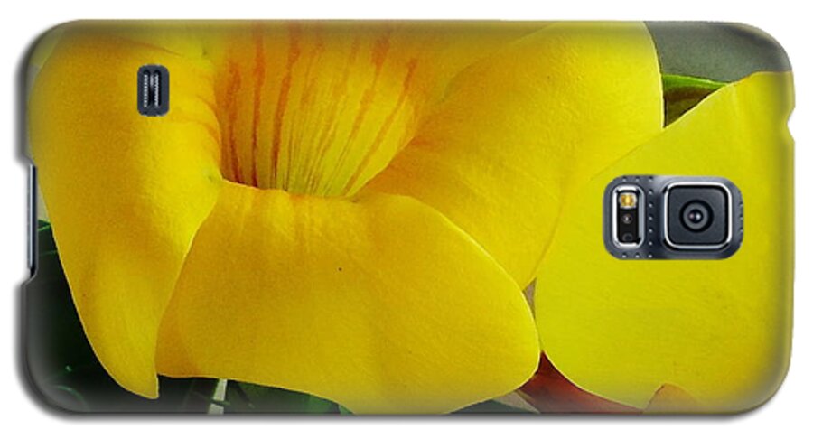 Canario Galaxy S5 Case featuring the photograph Canario Flower by Alice Terrill