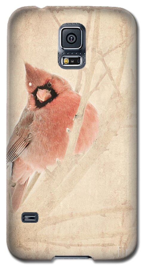 Cardinal Galaxy S5 Case featuring the photograph Cardinal by Pam Holdsworth