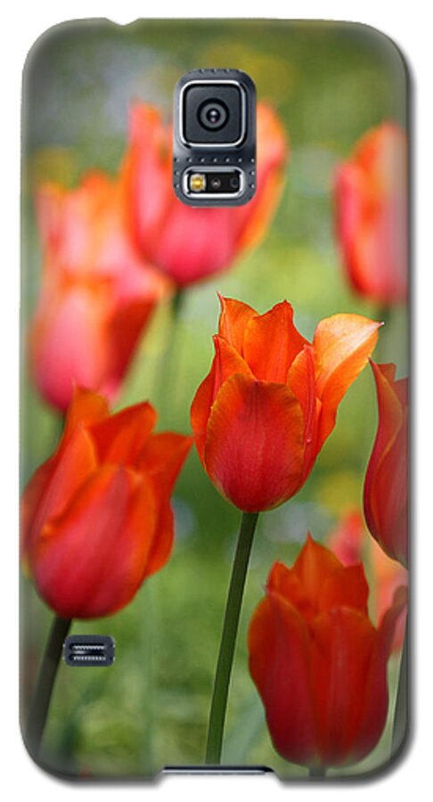Tulips Galaxy S5 Case featuring the photograph Caressed by the Wind by The Art Of Marilyn Ridoutt-Greene