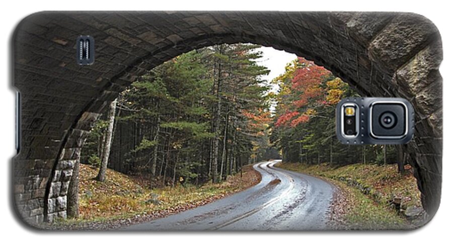 Acadia National Park Galaxy S5 Case featuring the photograph Carriage Bridge by Karin Pinkham