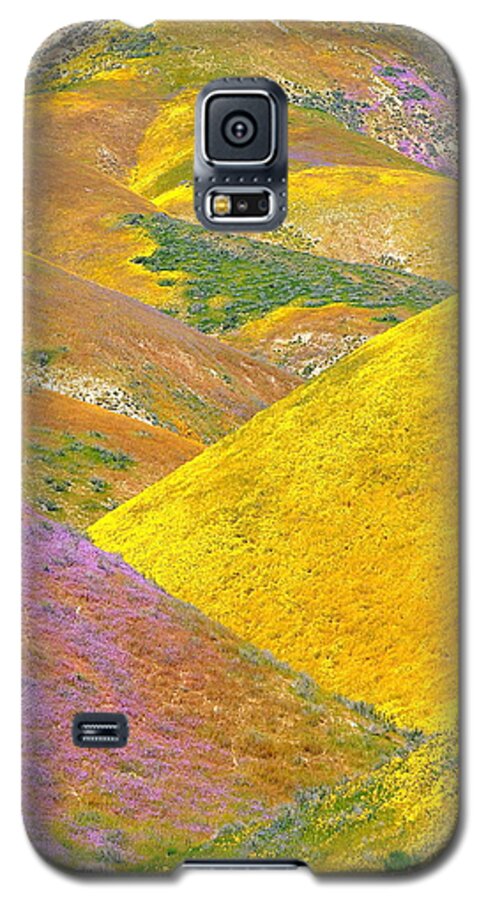 California Galaxy S5 Case featuring the photograph Carrizo Wildflowers Vertical by Marc Crumpler