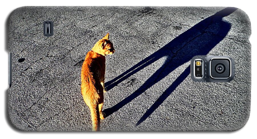 Cat Shadow Self Galaxy S5 Case featuring the photograph Cat Shadow Self by Paddy Shaffer