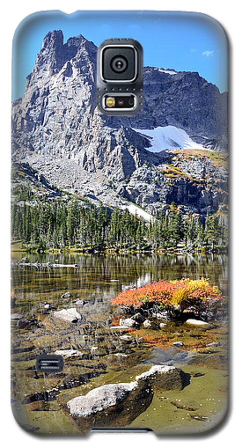 Vertical Galaxy S5 Case featuring the photograph Cathedral in the Park-V by Tranquil Light Photography