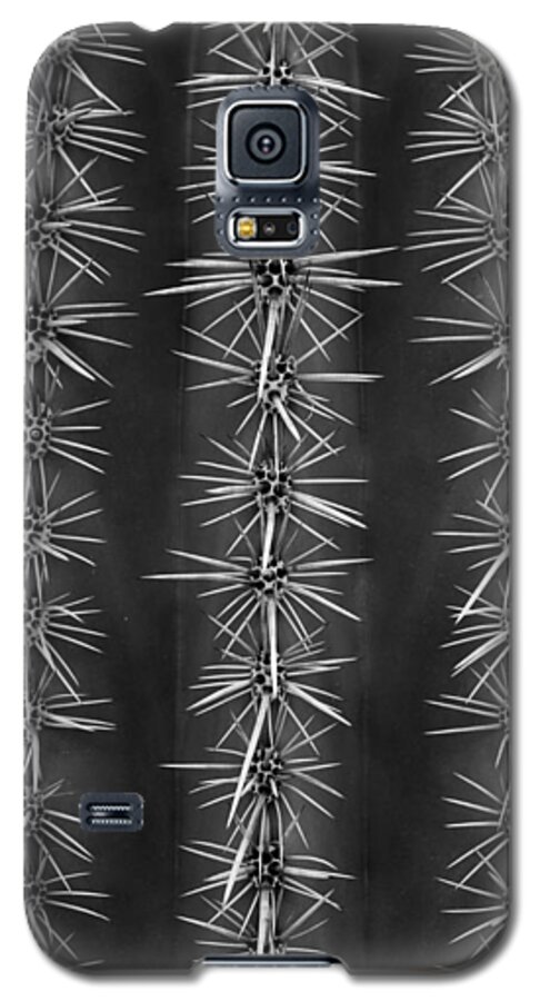 Cactus Galaxy S5 Case featuring the photograph Catus Needles by Glenn DiPaola