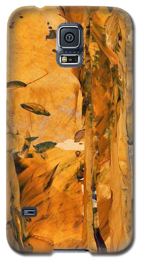 Acrylic Painting Galaxy S5 Case featuring the painting Cave of Gold by Nancy Kane Chapman