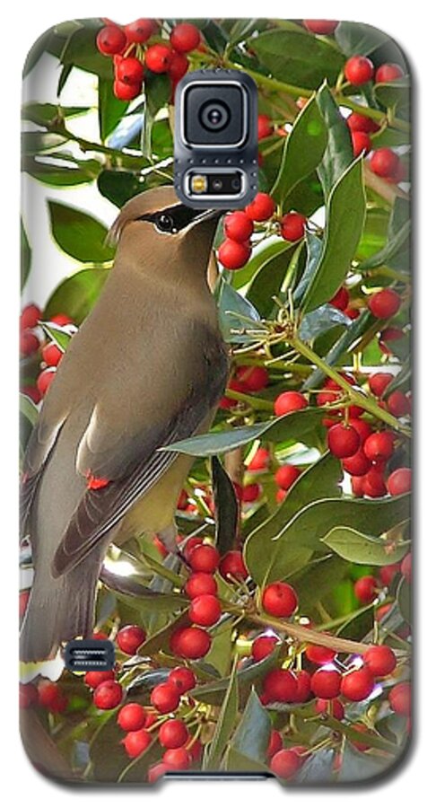 Bird Galaxy S5 Case featuring the photograph Cedar Waxwing by Kelly Nowak