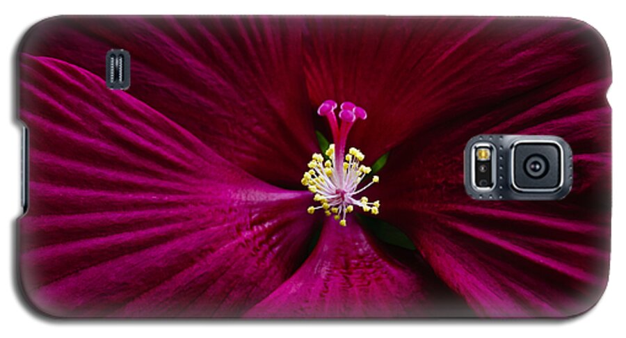 Botanical Galaxy S5 Case featuring the photograph Center Folds by Christi Kraft