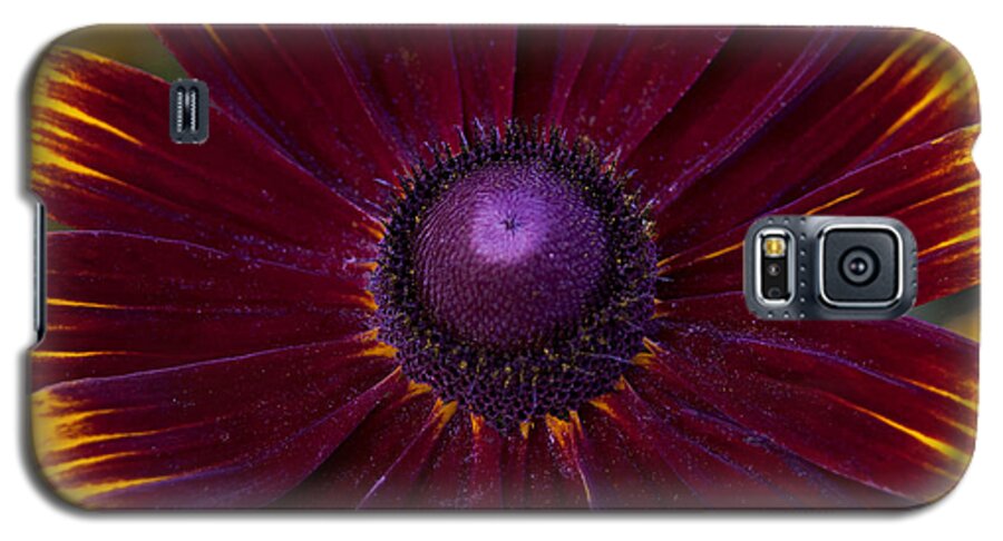 Flower Galaxy S5 Case featuring the photograph Center of Attention by Morris McClung