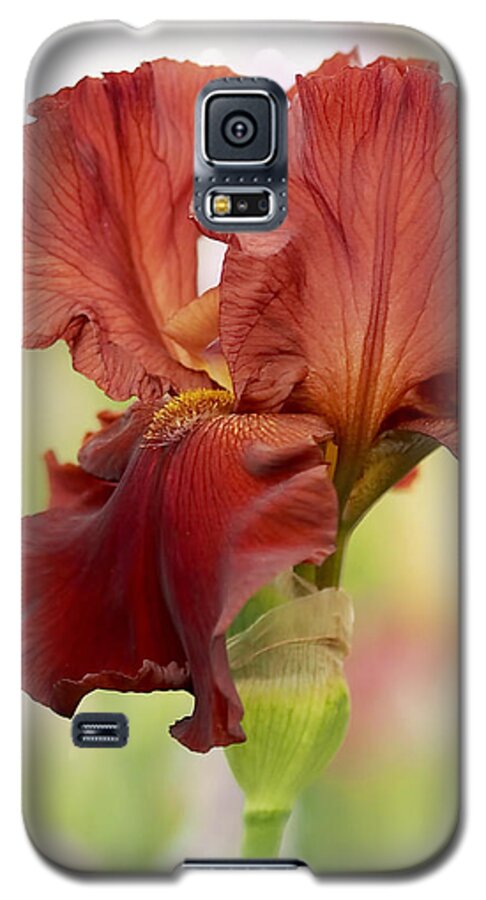 Iris Galaxy S5 Case featuring the photograph Chelsea Iris by Rona Black