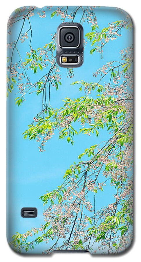 Cherry Blossom Galaxy S5 Case featuring the photograph Cherry Blossoms Falling by Yuka Kato