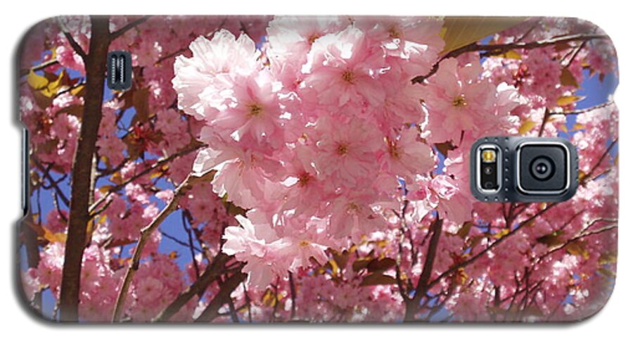 Spring In The City Galaxy S5 Case featuring the photograph Cherry trees blossom by Rosita Larsson