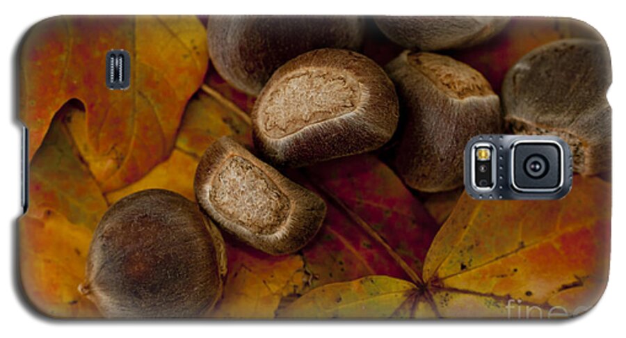 Autumn Galaxy S5 Case featuring the photograph Chestnuts and Fall Leaves by Wilma Birdwell