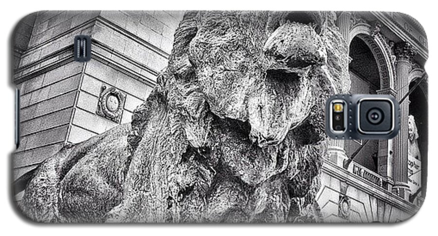 America Galaxy S5 Case featuring the photograph Lion Statue at Art Institute of Chicago by Paul Velgos
