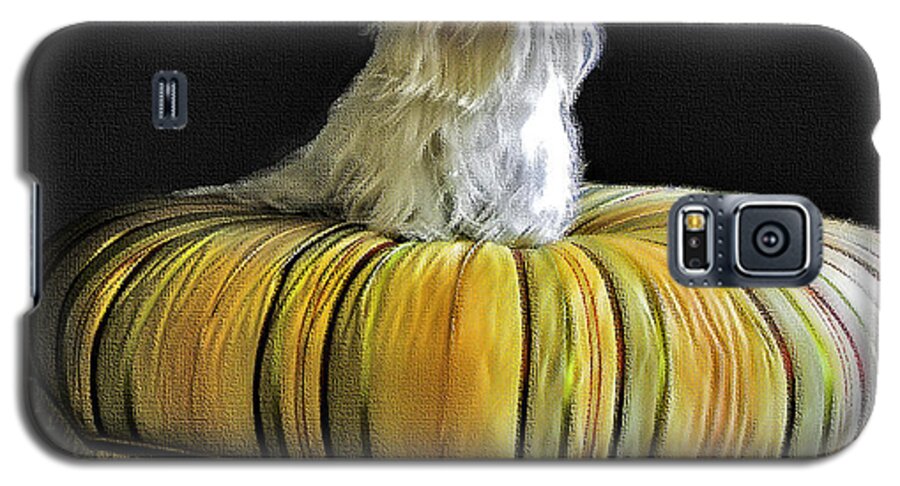 Pet Galaxy S5 Case featuring the photograph Chloe On Her Tuffet by Madeline Ellis