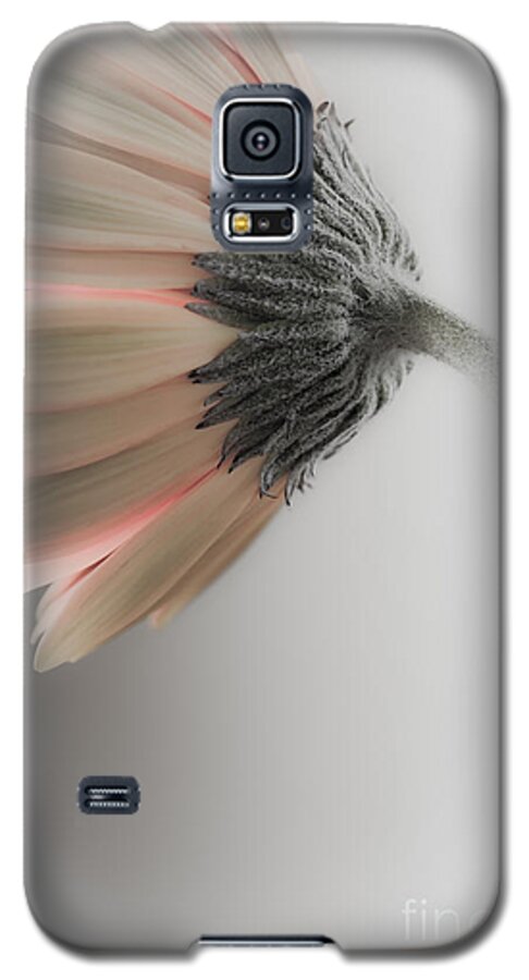 Beautiful Galaxy S5 Case featuring the photograph Chrysanthemum Petals 1 by Jo Ann Tomaselli