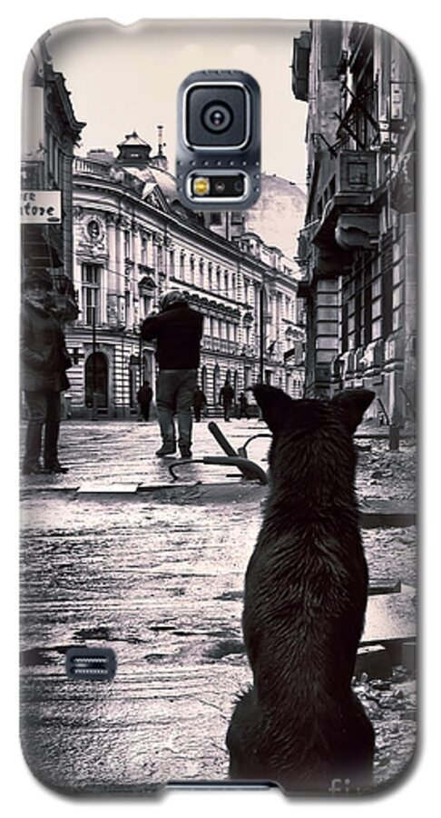 City Streets Waiting Dog Vintage Bucharest Old Town Street Canvas Galaxy S5 Case featuring the photograph City streets and The Theory of Waiting by Daliana Pacuraru