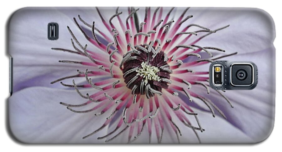  Galaxy S5 Case featuring the photograph Close Clematis by Sharron Cuthbertson