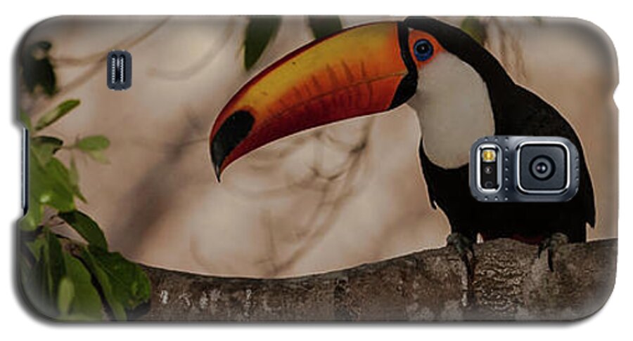 Photography Galaxy S5 Case featuring the photograph Close-up Of Tocu Toucan Ramphastos Toco by Panoramic Images