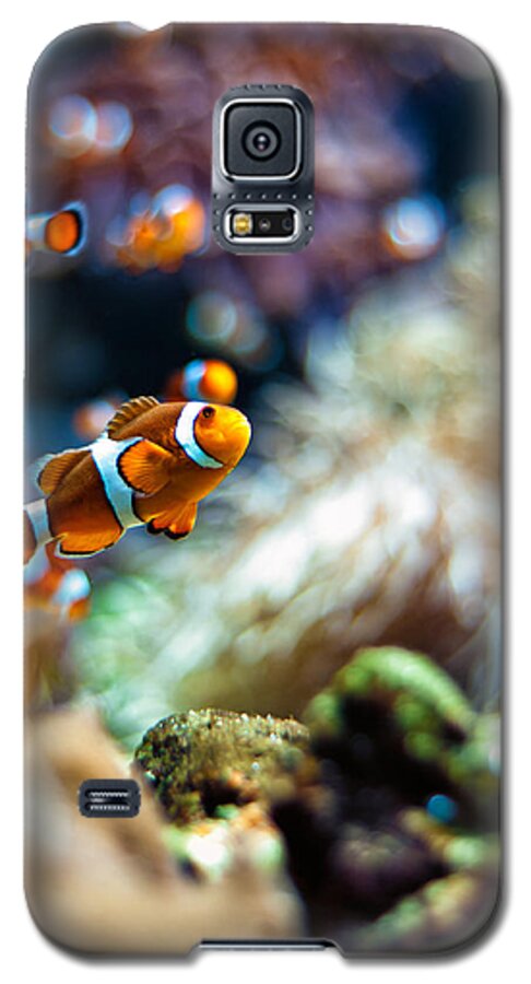 Red Galaxy S5 Case featuring the photograph Clownfish by U Schade