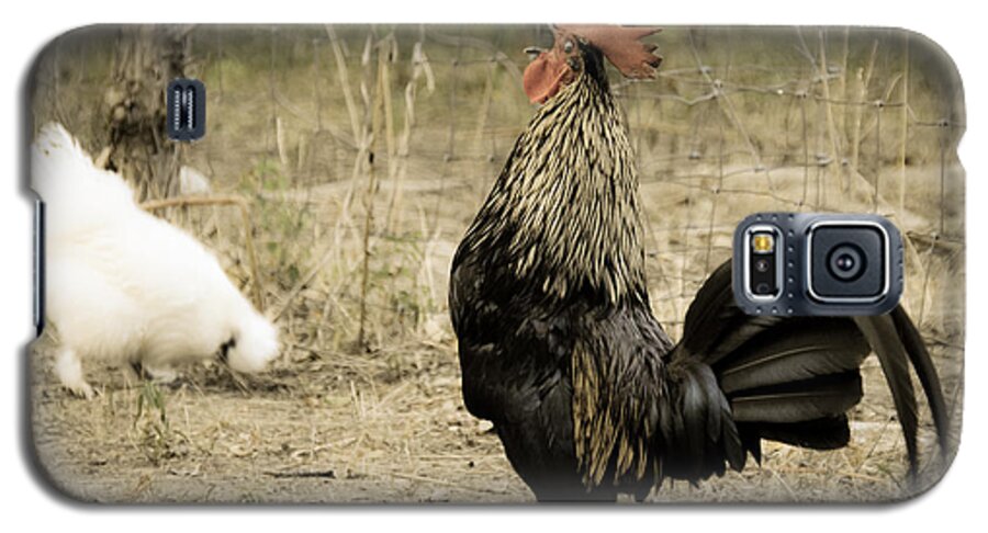 Rooster Galaxy S5 Case featuring the photograph Cockadoodledoo by Cheryl McClure