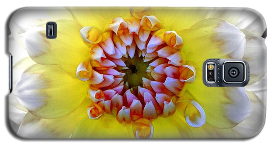 Flowers Galaxy S5 Case featuring the photograph Colorwheel by Karen Wiles