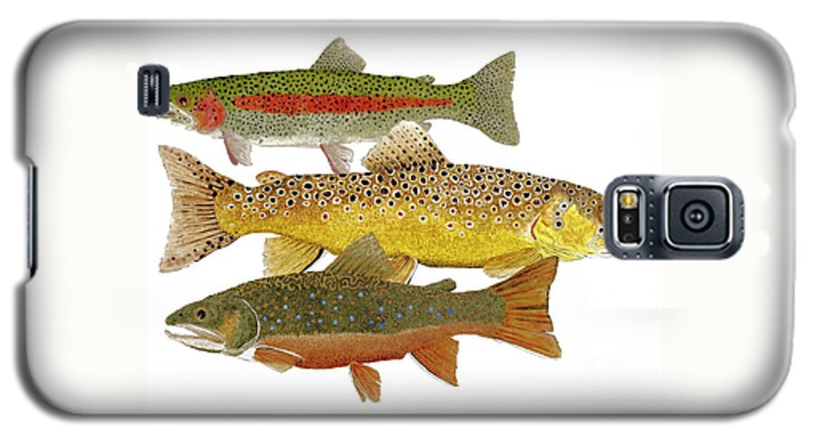 Trout Galaxy S5 Case featuring the painting Common Trout Rainbow Brown and Brook by Thom Glace