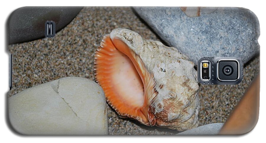 Conch Galaxy S5 Case featuring the photograph Conch 1 by George Katechis