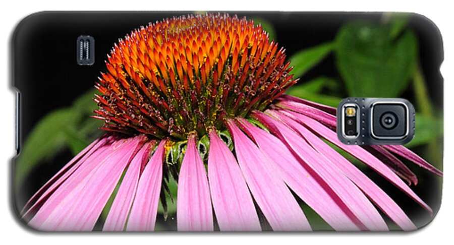 Cone Flower Galaxy S5 Case featuring the photograph Cone Flower by David Armstrong