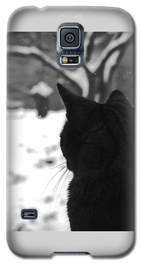 Cats Galaxy S5 Case featuring the photograph Contemplating Winter by Angela Davies
