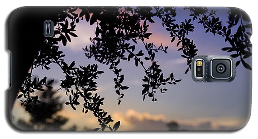Sunset Galaxy S5 Case featuring the photograph Contemplation by Maria Robinson