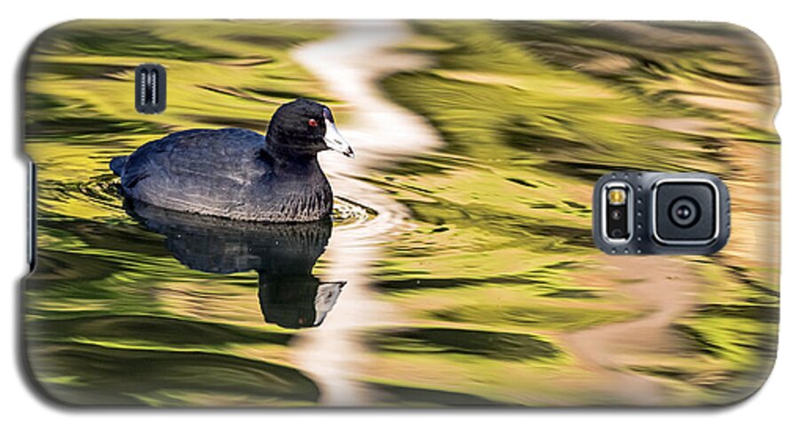 American Coot Galaxy S5 Case featuring the photograph Coot Reflected by Kate Brown