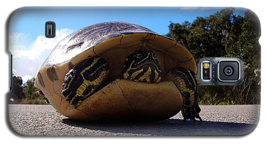Turtle Galaxy S5 Case featuring the photograph Cooter Turtle by Christopher Mercer