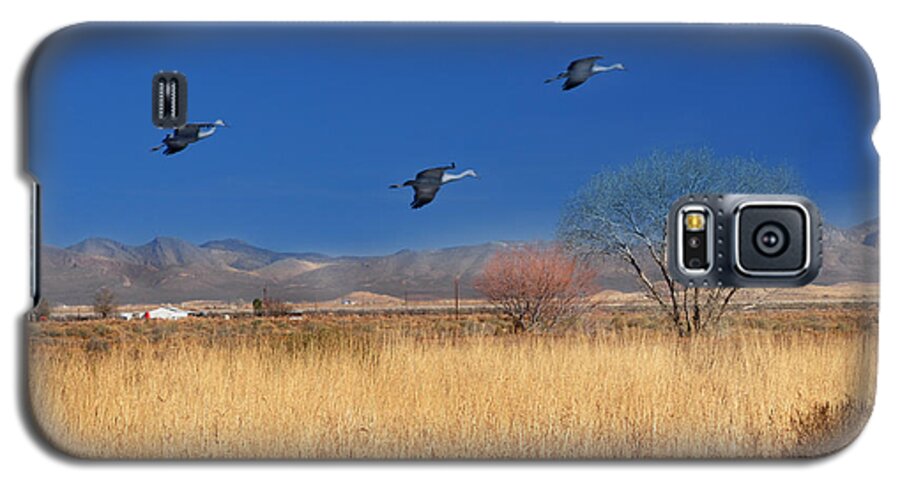 Photography Galaxy S5 Case featuring the photograph Cranes in Flight by Barbara Manis