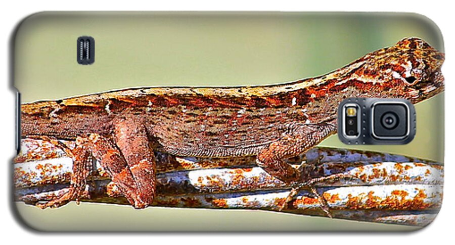 Lizard Galaxy S5 Case featuring the photograph Crawling Lizard by Cyril Maza