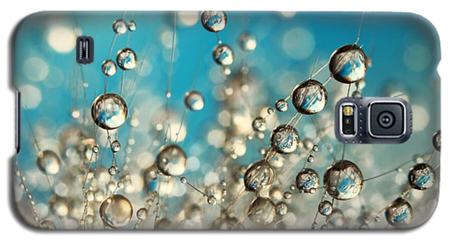 Cactus Galaxy S5 Case featuring the photograph Crazy Cactus Droplets by Sharon Johnstone