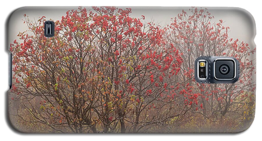 2013 Galaxy S5 Case featuring the photograph Crimson Fog by Melinda Ledsome