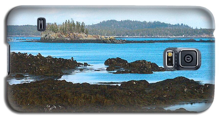 Bay Of Fundy Galaxy S5 Case featuring the mixed media Crow Island Bay of Fundy NB by Art MacKay