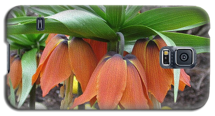 Flower Galaxy S5 Case featuring the photograph Crown Imperial Fritillaria by Kathie Chicoine