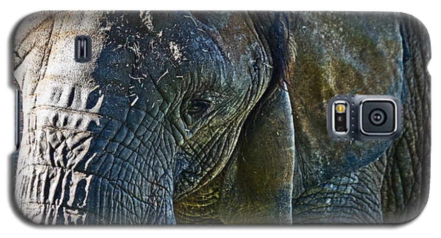 #elephant Galaxy S5 Case featuring the photograph Cuddles in search by Miroslava Jurcik