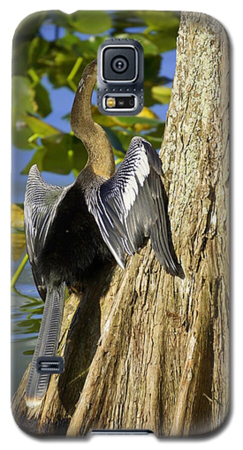 Ahninga Galaxy S5 Case featuring the photograph Cypress Bird by Laurie Perry