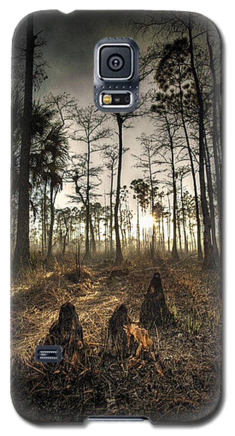 Everglades Galaxy S5 Case featuring the photograph Cypress Stumps And Sunset Fire by Bradley R Youngberg